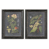 Midnight Botanicals Multicolor Wall Art (Set of 2)