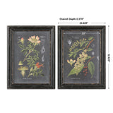 Midnight Botanicals Multicolor Wall Art (Set of 2)