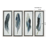 Feathered Beauty Multicolor Prints (Set of 4)