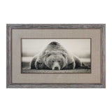 Deep Sleep Bear Brown/White/Woodtone Print