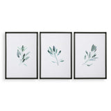 Simple Sage Black/Green/White Watercolor Prints (Set of 3)