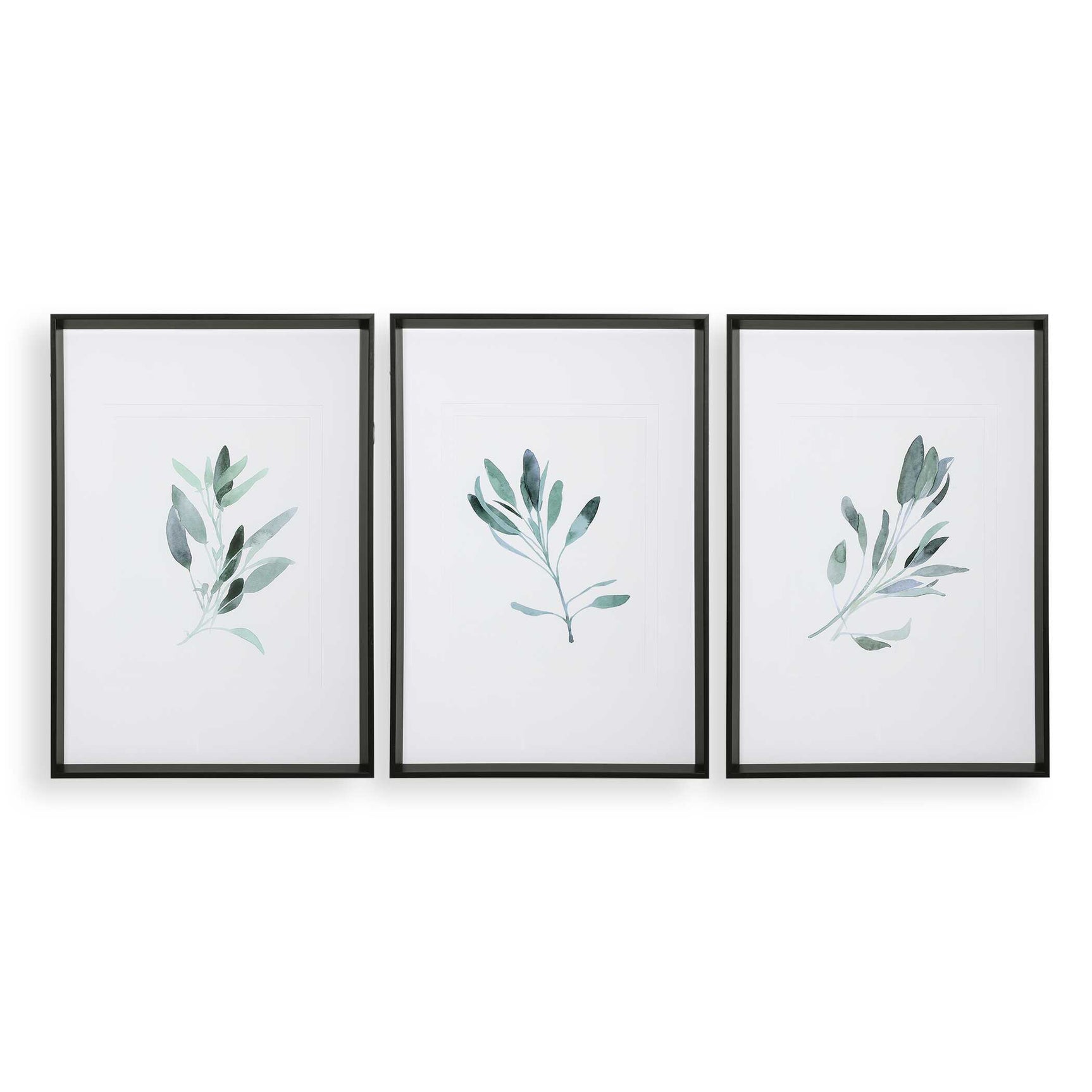 Simple Sage Black/Green/White Watercolor Prints (Set of 3)