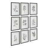 Farmhouse Florals Black/White Framed Prints (Set of 9)