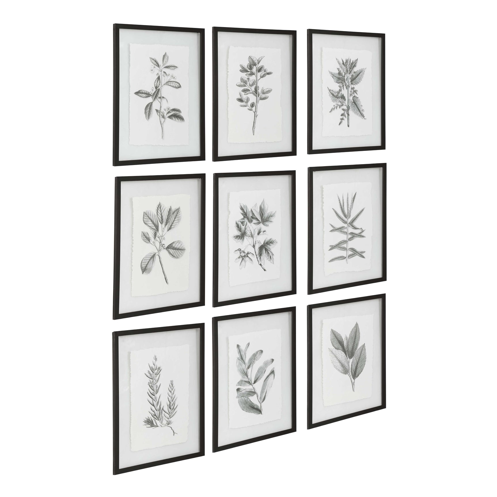 Farmhouse Florals Black/White Framed Prints (Set of 9)