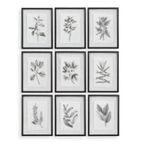 Farmhouse Florals Black/White Framed Prints (Set of 9)