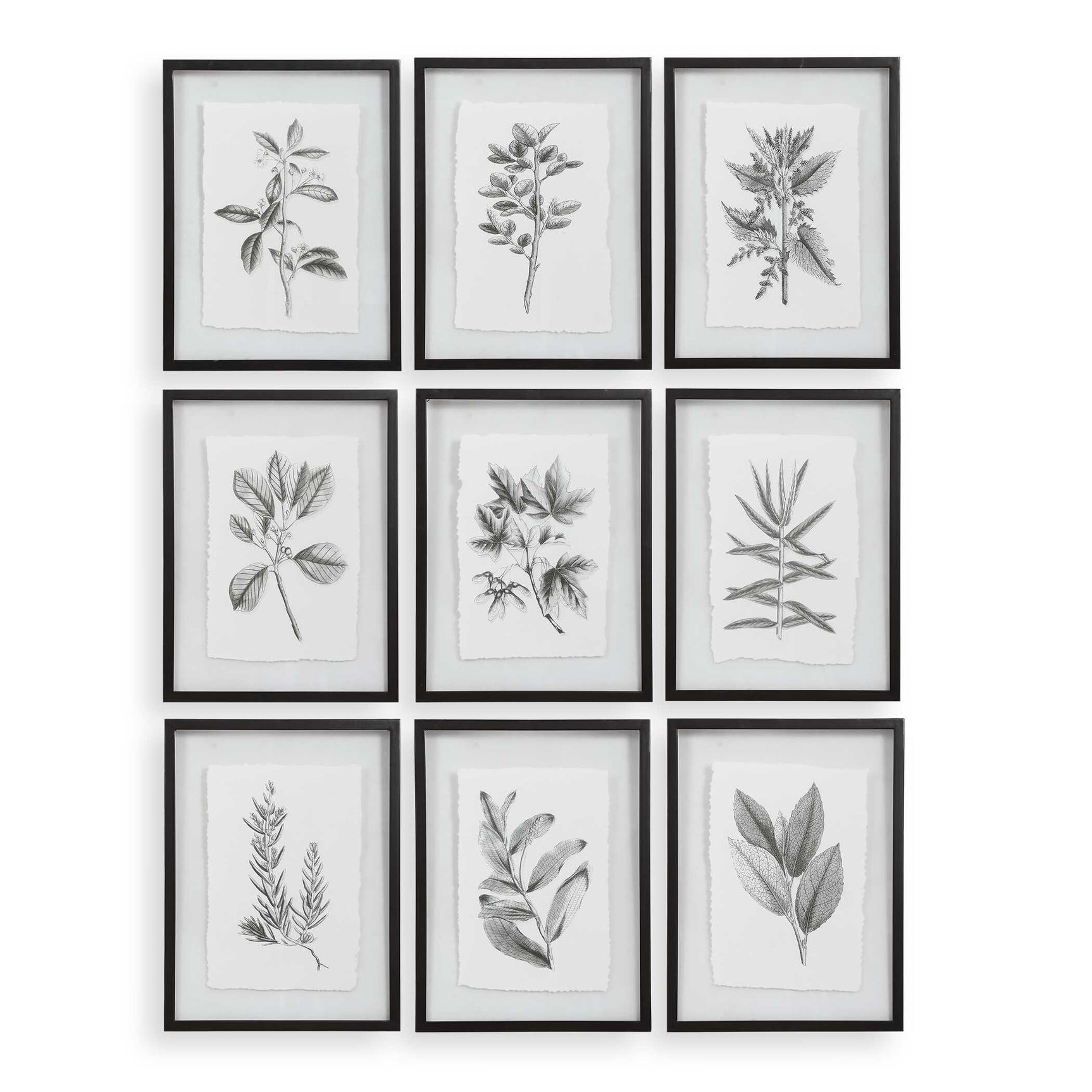 Farmhouse Florals Black/White Framed Prints (Set of 9)