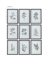 Farmhouse Florals Black/White Framed Prints (Set of 9)
