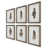 Birds Of A Feather Black/Brown/White Framed Prints (Set of 6)