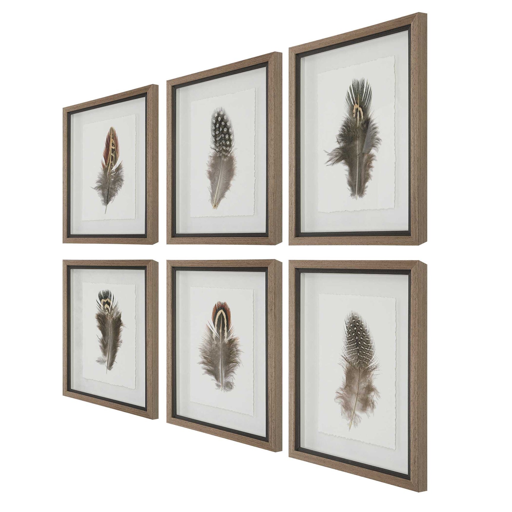 Birds Of A Feather Black/Brown/White Framed Prints (Set of 6)