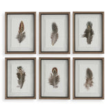 Birds Of A Feather Black/Brown/White Framed Prints (Set of 6)
