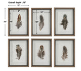 Birds Of A Feather Black/Brown/White Framed Prints (Set of 6)