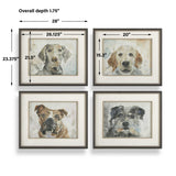Dog Days Multicolor Framed Prints (Set of 4)