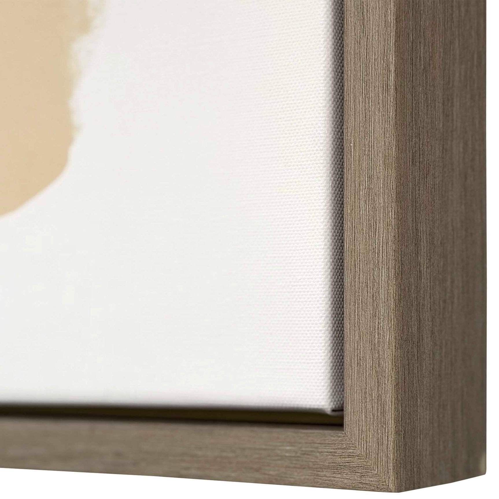 Abstract Afternoon Multicolor Framed Canvases (Set of 2)