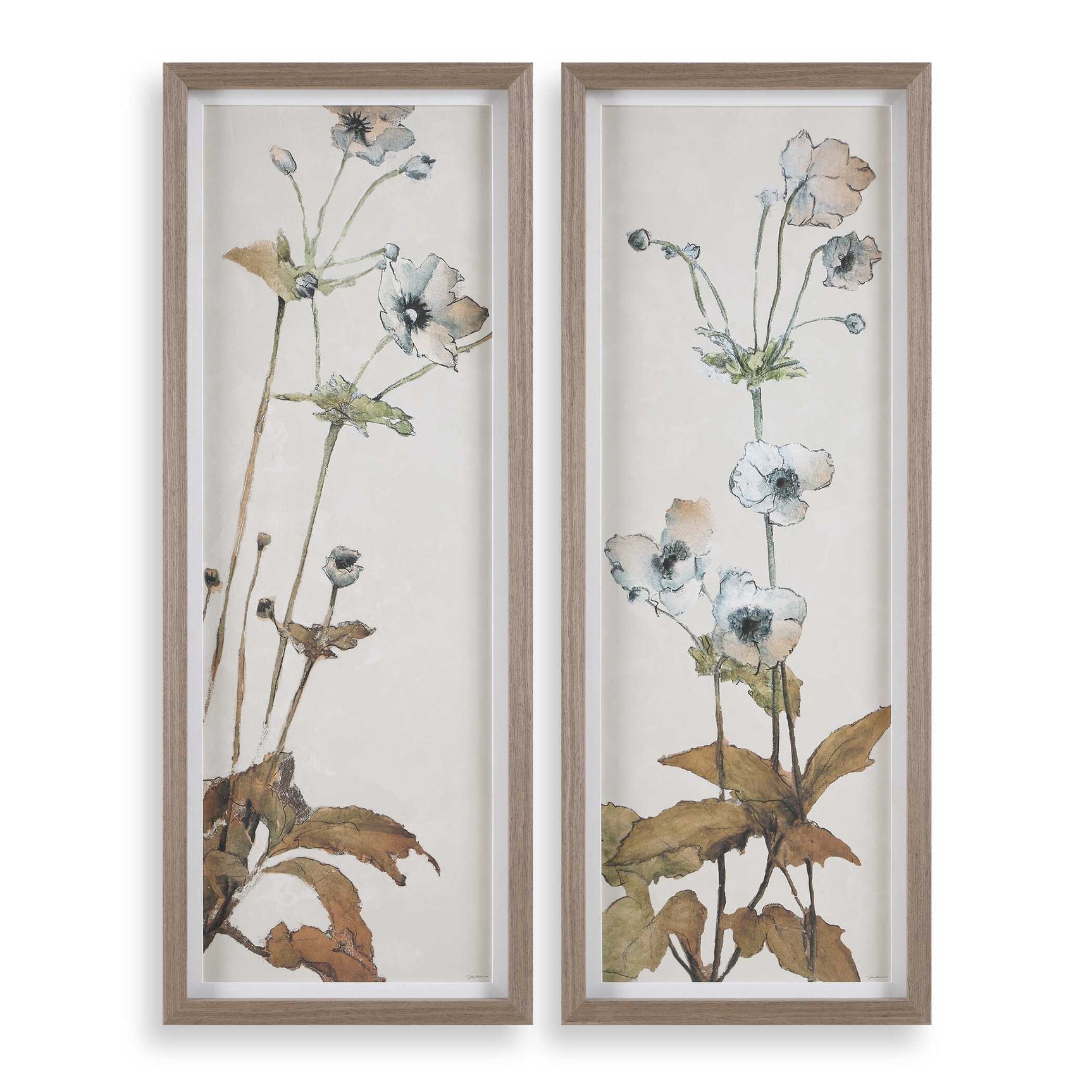 Garden Study Multicolor Framed Floral Prints (Set of 2)