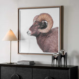 Big Horn Sheep Black/Brown/White Framed Print