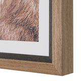 Big Horn Sheep Black/Brown/White Framed Print