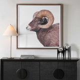Big Horn Sheep Black/Brown/White Framed Print