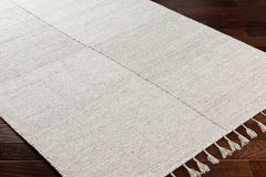 Abhay Beige Wool Area Rug - Clearance - Ornate Home