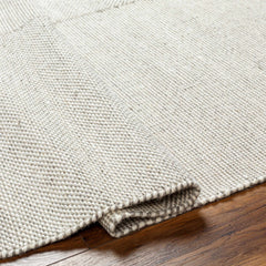 Abhay Beige Wool Area Rug - Clearance - Ornate Home