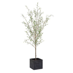 Abundance Olive Potted Tree - Ornate Home