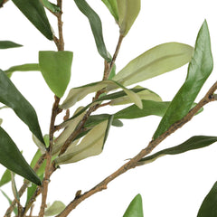 Abundance Olive Potted Tree - Ornate Home
