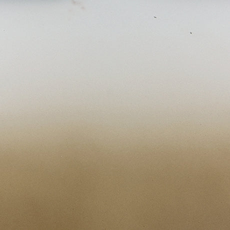 Acario Taupe/Gold Jar - Ornate Home