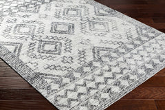 Adan Area Rug - Clearance - Ornate Home