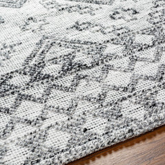 Adan Area Rug - Clearance - Ornate Home