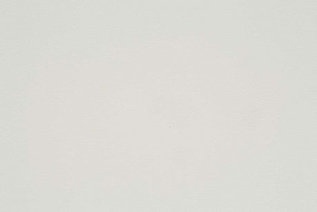 Adara Arm Chair (Set-2) - Ornate Home