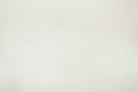 Adara Loveseat - Ornate Home