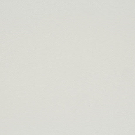 Adara Side Chair (Set-2) - Ornate Home