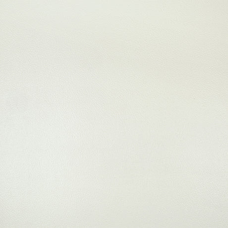 Adara Sofa - Ornate Home