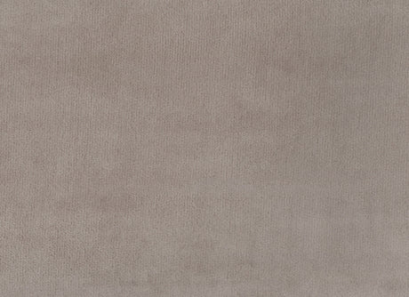 Adelia Cobblestone Studio Sofa with Pull-out Bed - Ornate Home