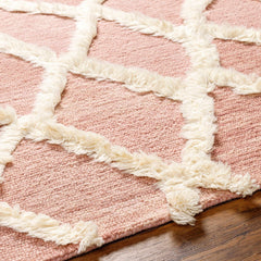 Adica Pink Wool Area Rug - Clearance - Ornate Home