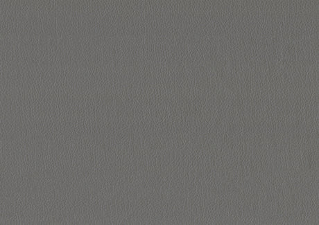 Adra Gray Daybed with Trundle - Ornate Home