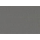 Adra Gray Daybed with Trundle - Ornate Home