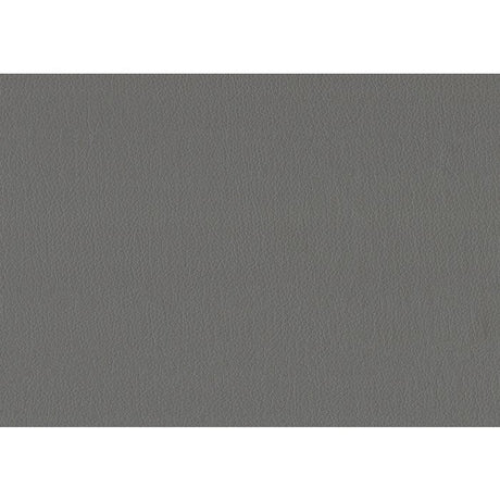 Adra Gray Daybed with Trundle - Ornate Home