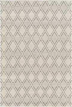 Aeron Area Rug - Clearance - Ornate Home