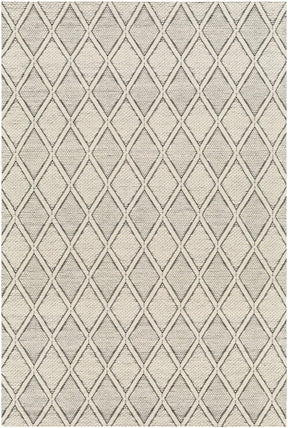 Aeron Area Rug - Clearance - Ornate Home