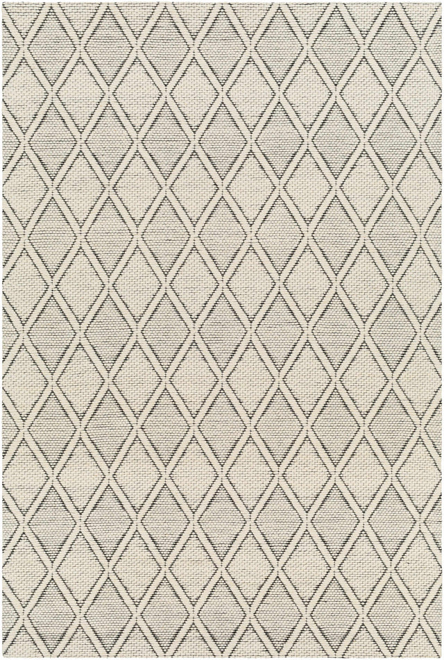 Aeron Area Rug - Clearance - Ornate Home