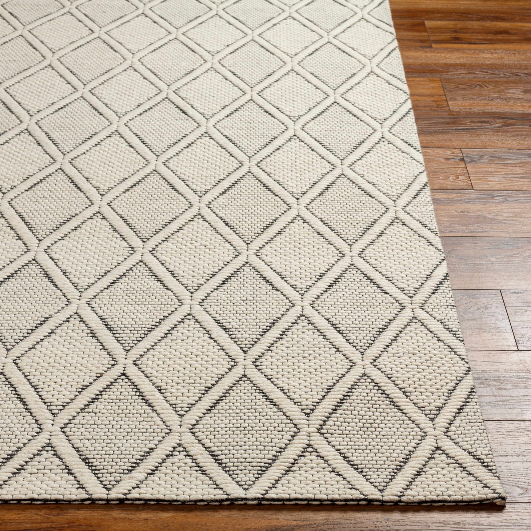 Aeron Area Rug - Clearance - Ornate Home