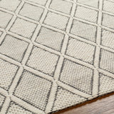 Aeron Area Rug - Clearance - Ornate Home