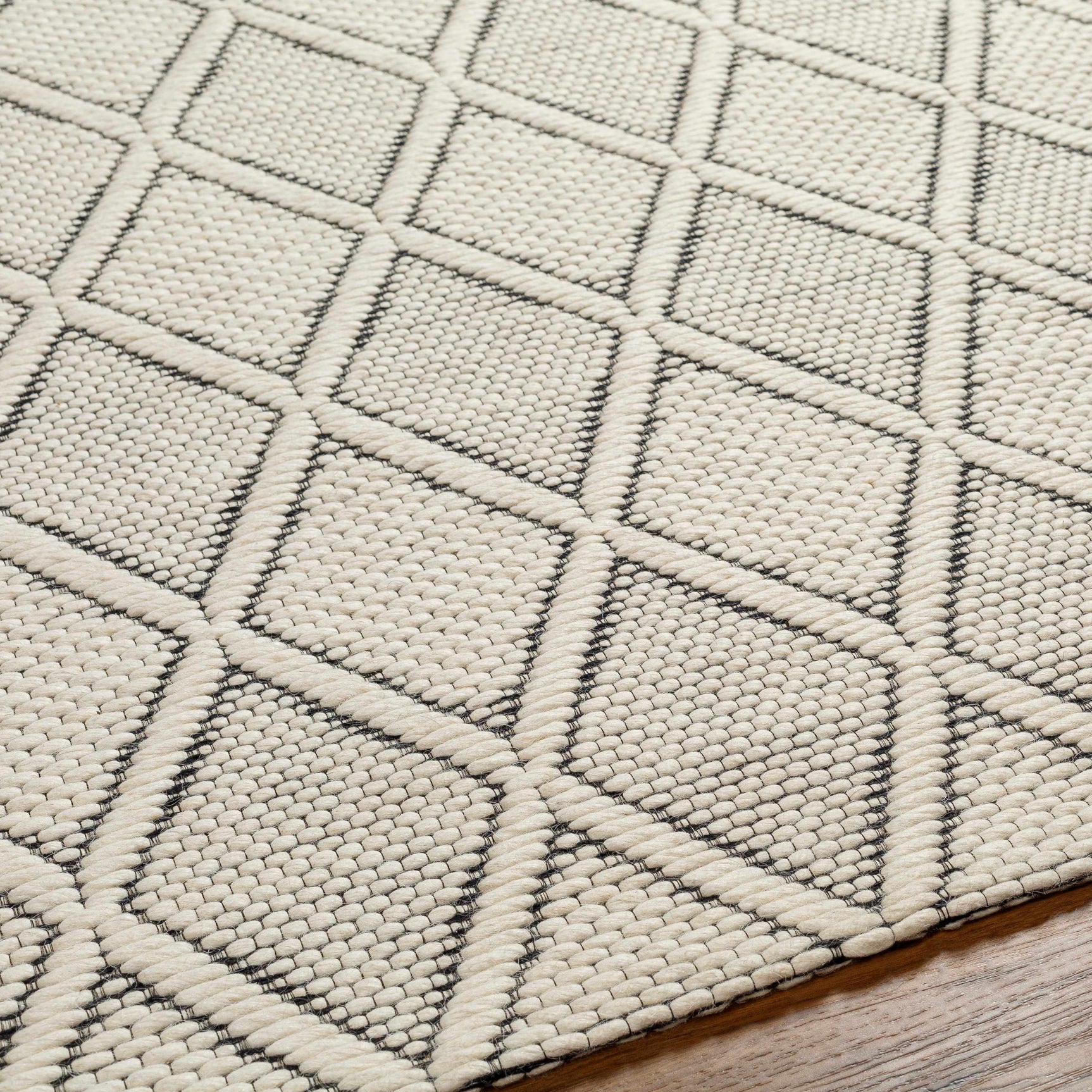 Aeron Area Rug - Clearance - Ornate Home