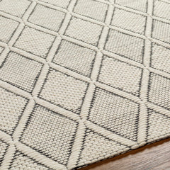 Aeron Area Rug - Clearance - Ornate Home