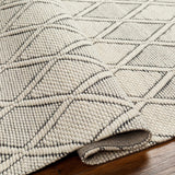 Aeron Area Rug - Clearance - Ornate Home