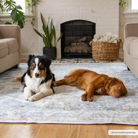 Afya Washable Area Rug - Ornate Home