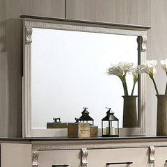 Agathon Antique White/Gray Mirror - Ornate Home