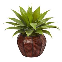 Agave Succulent in Weave Planter - Ornate Home