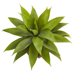 Agave Succulent in Weave Planter - Ornate Home