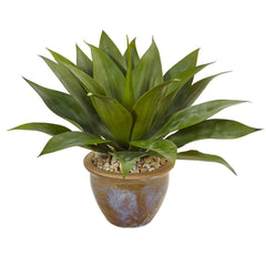 Agave in Glazed Clay Pot - Ornate Home